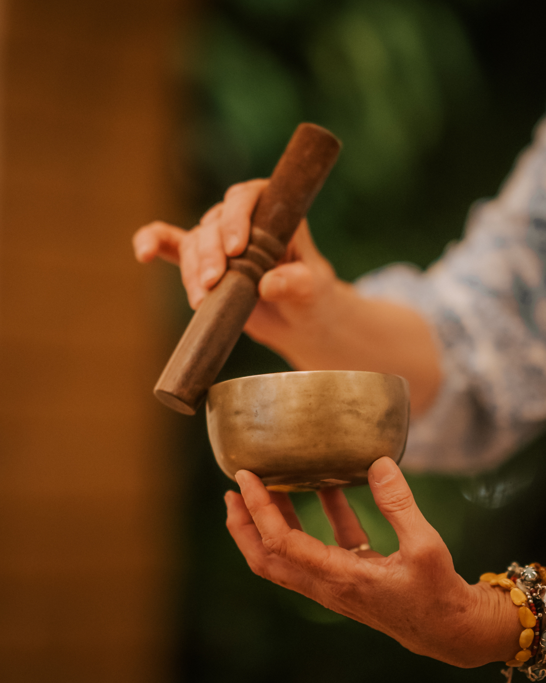 Programa de bienestar